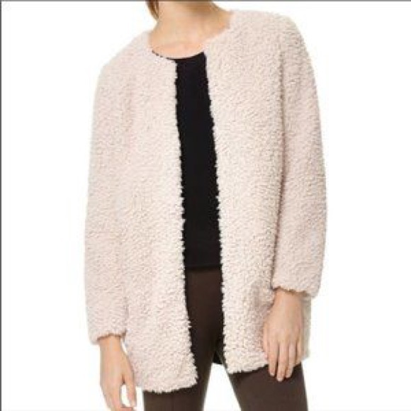 Aritzia Jackets & Blazers - Wilfred teddy coat